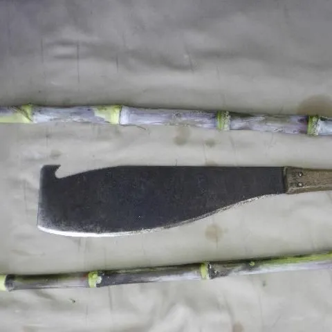 thumbnail for publication: Sugarcane Cultivar Descriptive Fact Sheet: CPCL 02-6848 and CPCL 05-1201